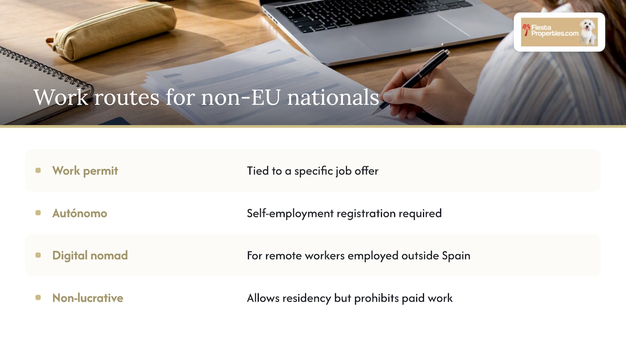Employment opportunities and work permits for non-EU nationals — overview diagram